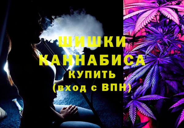 гашик Вяземский