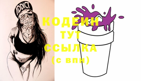 гашик Вяземский