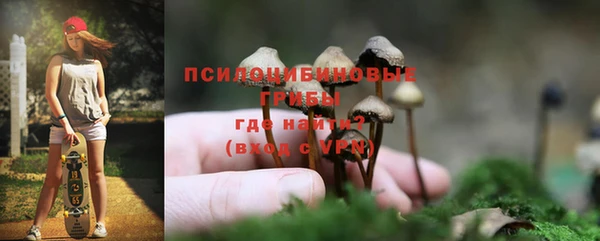 твердый Вязьма