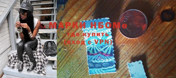 гашик Вяземский