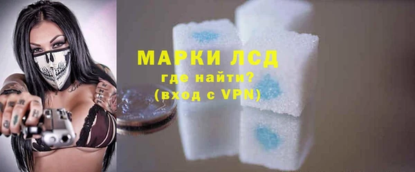 гашик Вяземский