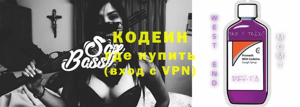 гашик Вяземский