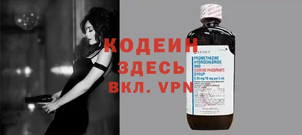 гашик Вяземский