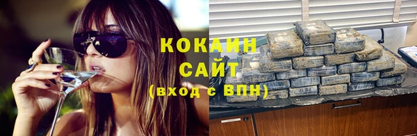гашик Вяземский