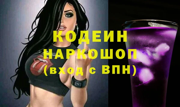 гашик Вяземский