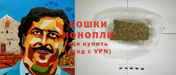 гашик Вяземский